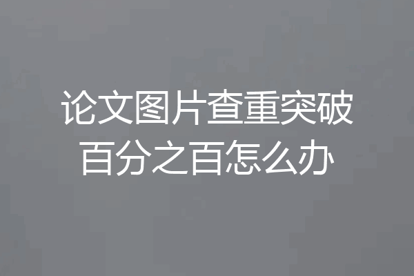 论文图片查重突破百分之百怎么办