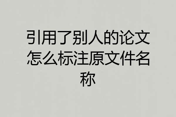 引用了别人的论文怎么标注原文件名称