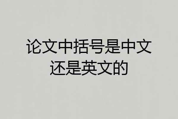 论文中括号是中文还是英文的