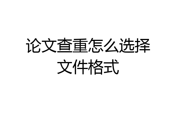论文查重怎么选择文件格式