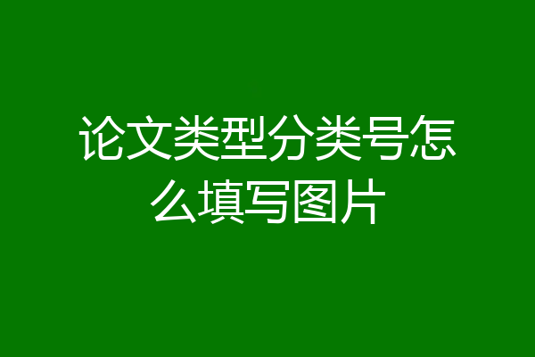 论文类型分类号怎么填写图片