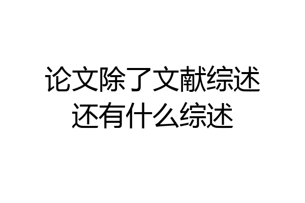 论文除了文献综述还有什么综述