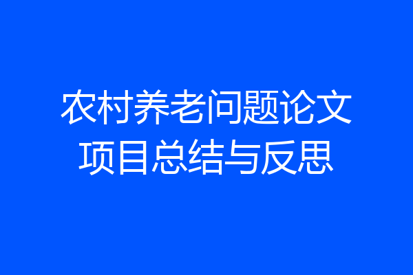 农村养老问题论文项目总结与反思