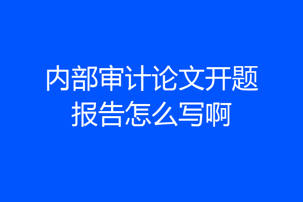 内部审计论文开题报告怎么写啊