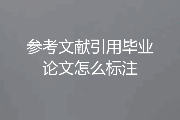 参考文献引用毕业论文怎么标注