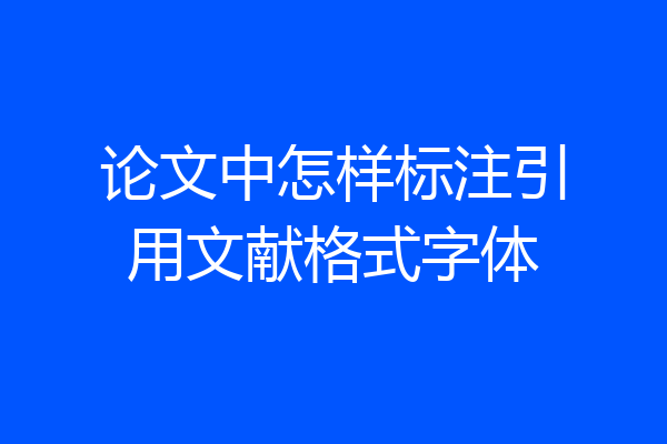 论文中怎样标注引用文献格式字体