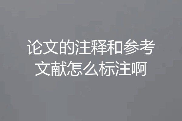 论文的注释和参考文献怎么标注啊
