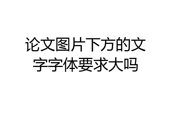 论文图片下方的文字字体要求大吗