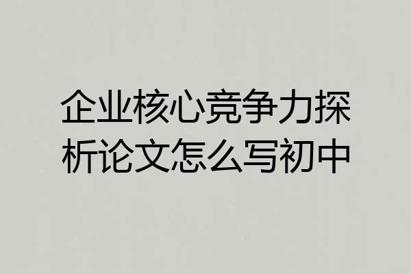 企业核心竞争力探析论文怎么写初中