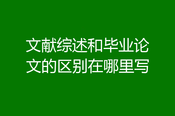 文献综述和毕业论文的区别在哪里写