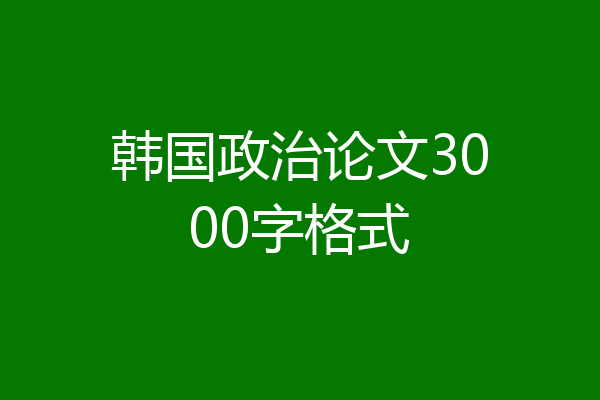 韩国政治论文3000字格式