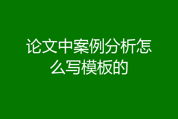论文中案例分析怎么写模板的