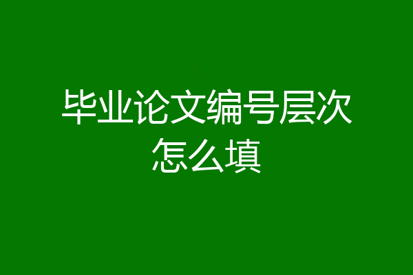 毕业论文编号层次怎么填