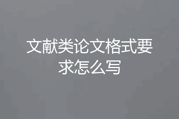 文献类论文格式要求怎么写