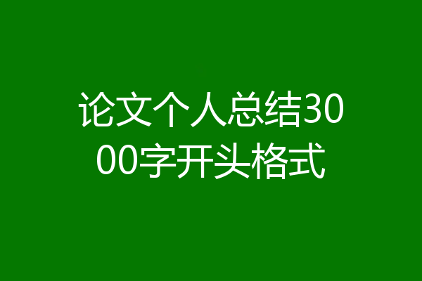论文个人总结3000字开头格式