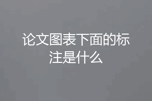 论文图表下面的标注是什么