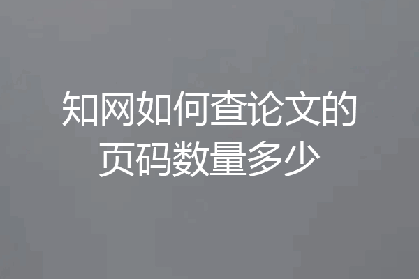 知网如何查论文的页码数量多少