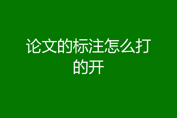 论文的标注怎么打的开