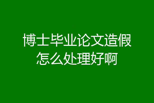 博士毕业论文造假怎么处理好啊
