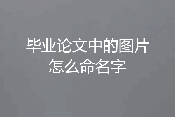 毕业论文中的图片怎么命名字