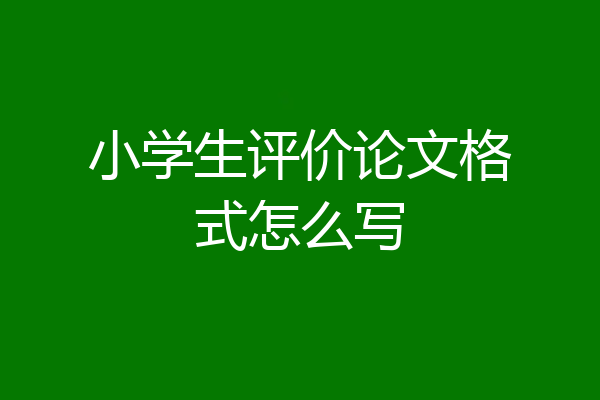 小学生评价论文格式怎么写