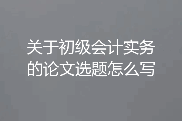 关于初级会计实务的论文选题怎么写