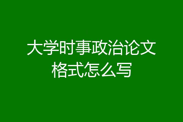 大学时事政治论文格式怎么写