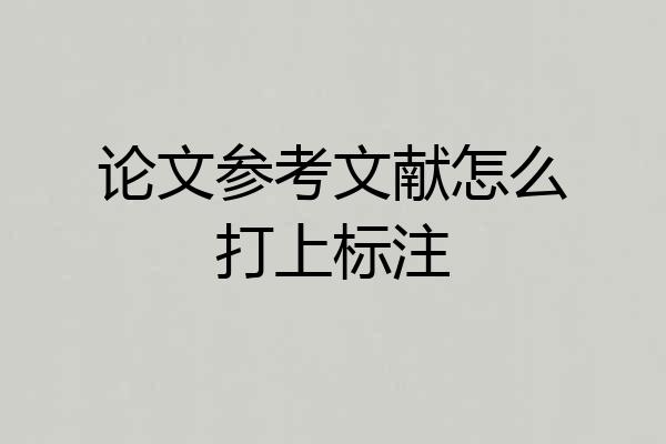 论文参考文献怎么打上标注