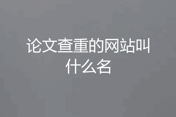 论文查重的网站叫什么名