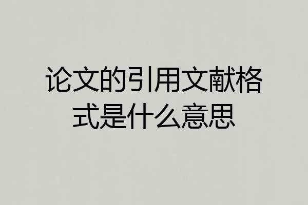 论文的引用文献格式是什么意思
