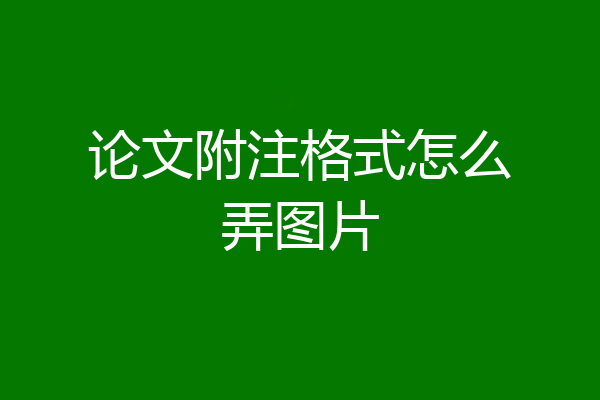 论文附注格式怎么弄图片
