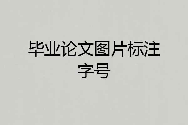 毕业论文图片标注字号