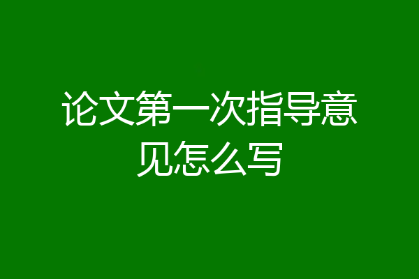 论文第一次指导意见怎么写