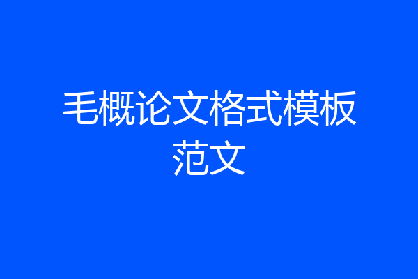毛概论文格式模板范文