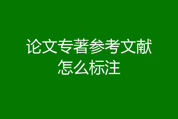 论文专著参考文献怎么标注