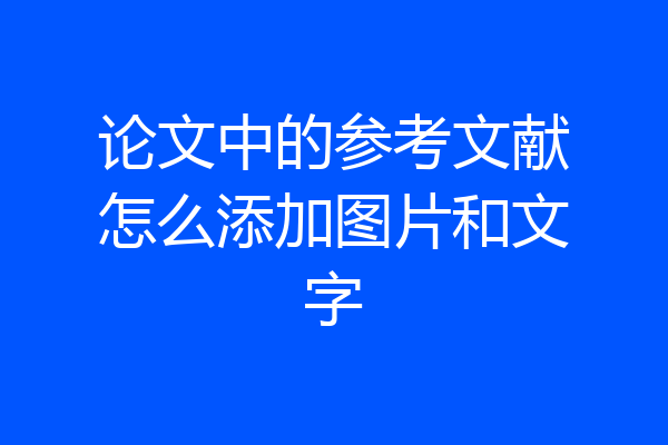 论文中的参考文献怎么添加图片和文字