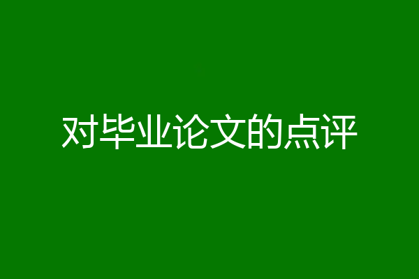 对毕业论文的点评