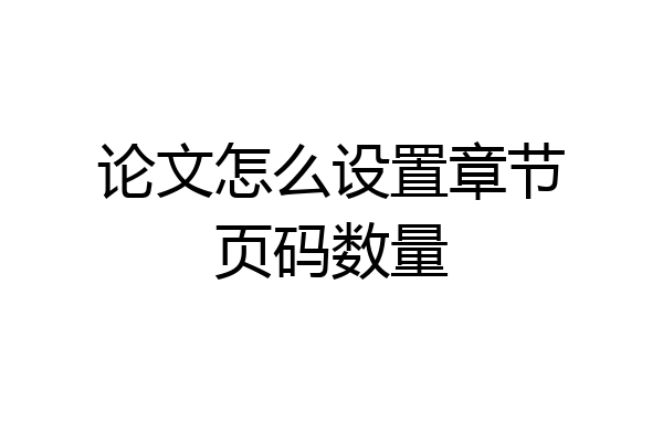 论文怎么设置章节页码数量