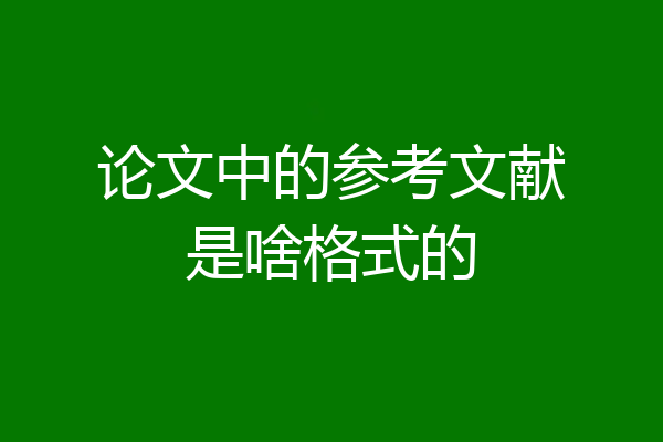 论文中的参考文献是啥格式的