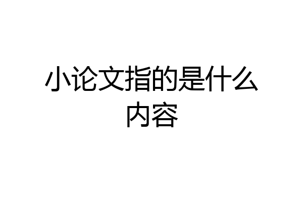 小论文指的是什么内容