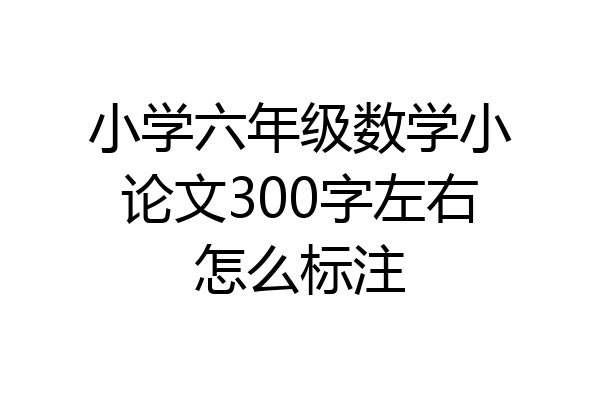 小学六年级数学小论文300字左右怎么标注