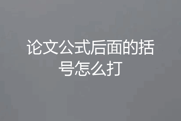 论文公式后面的括号怎么打
