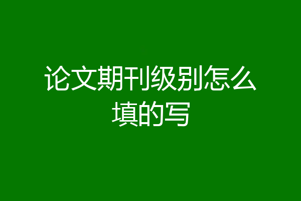 论文期刊级别怎么填的写