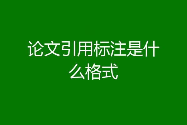 论文引用标注是什么格式