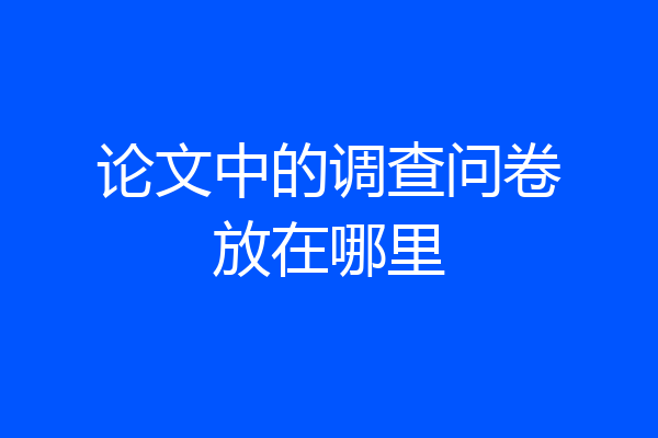 论文中的调查问卷放在哪里
