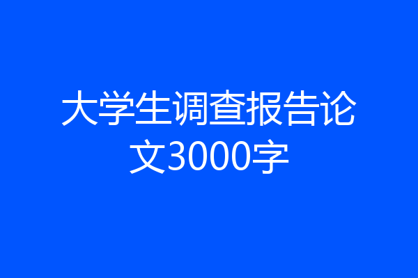 大学生调查报告论文3000字