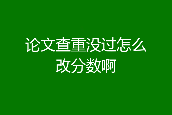 论文查重没过怎么改分数啊