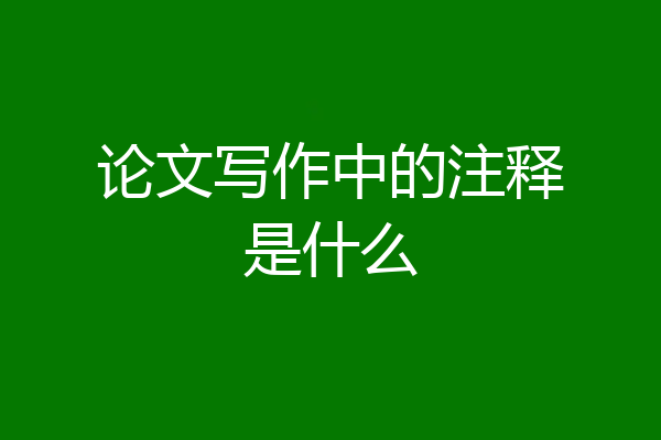 论文写作中的注释是什么