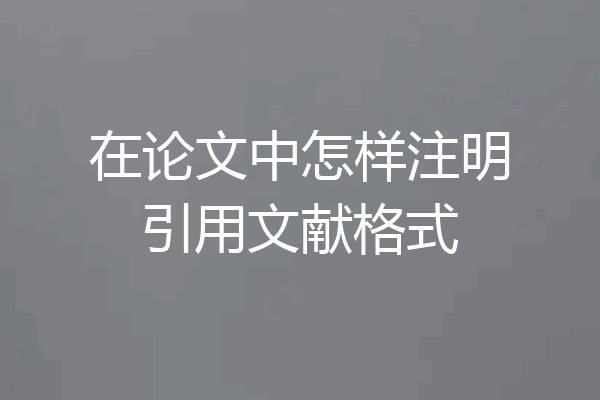 在论文中怎样注明引用文献格式