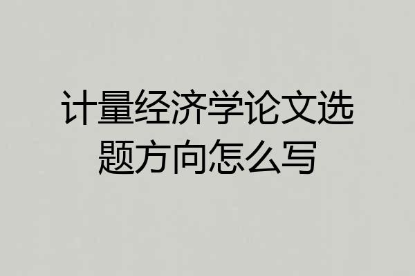 计量经济学论文选题方向怎么写
